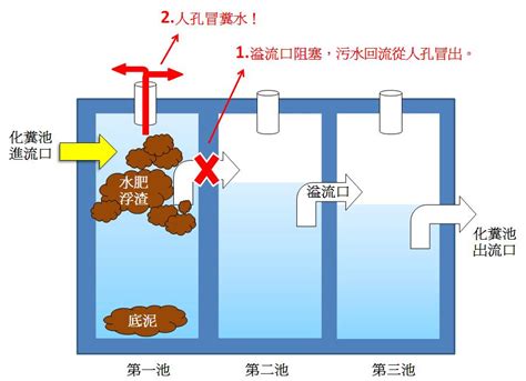 傳統化糞池構造